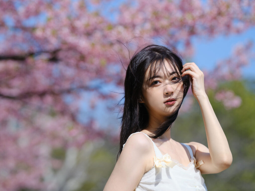 [6000套2TB]摄影写真集 | 元气摄影